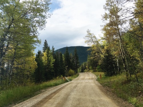 loveisgrownhere:Fall in Montana.