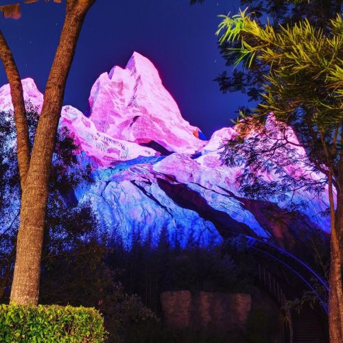 How many times do you try to ride Everest on each Disney trip?www.instagram.com/p/CMmo0-7hOn