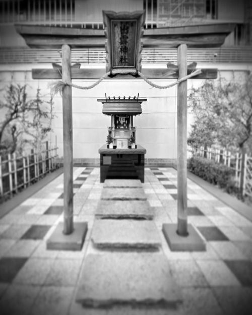 Little shrine in shopping centre atrium ⛩ :: #japan #nihon #kawasaki #kawasakicity #shrine #shopping