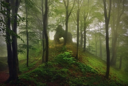 landscape-photo-graphy: Haunting Landscape Photography Inspired by the Brothers Grimm Fairytales by&