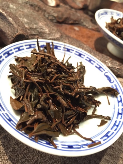 Tea of the day: Lapsang Black Tea Sample from a supplier, smokey flavor signature of the lapsang tea