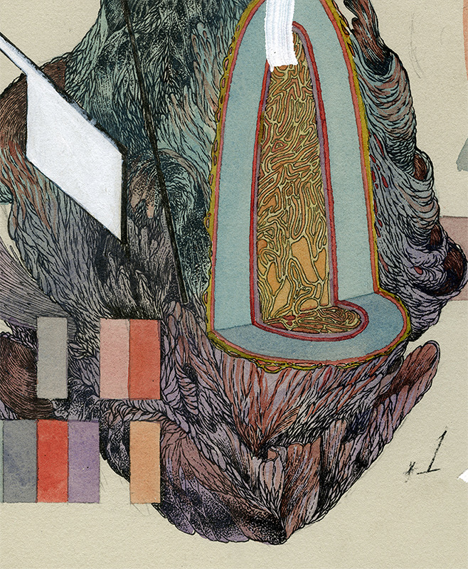 jacobvanloon:  First Flower 216x20Jacob van Loon
