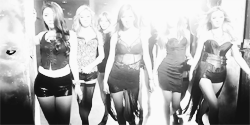 dorkyshidae:#SQUAD