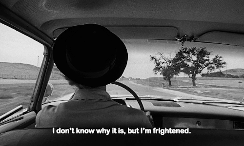 tumblr_pe5lpwFVMh1r0msi2o5_500.gifv