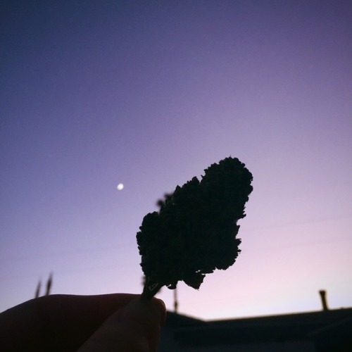 smokefaerie: