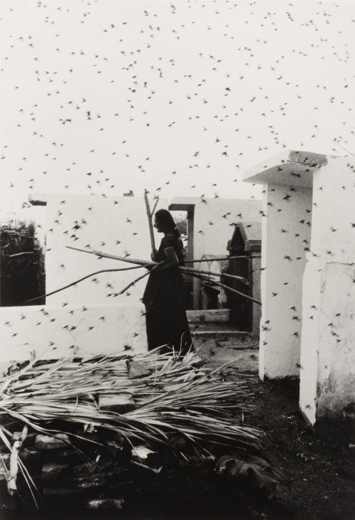 workman: nitescence: Graciela Iturbide