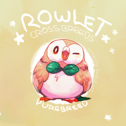 kitkaloid:  kitkaloid:  Rowlet crossbreeds! This was super fun to make as well as a challenge hahaha I hope you like the result.. I picked some of my favs from both grass and flying egg groups n just WENT OFF.  hey check it! 