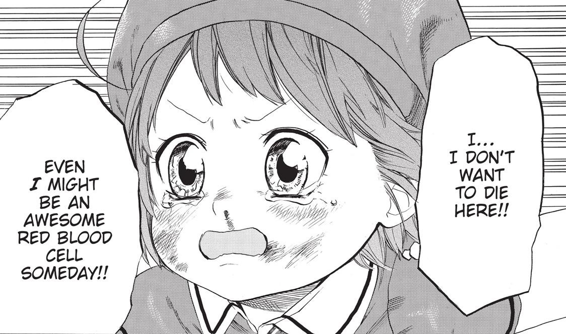 hatsuzuki:Help, I’m getting emotional over blood cell differentiation