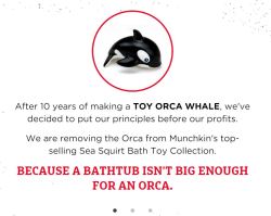 cetaceanawareness:   sevenseasoffreedom:  stumpyx163:    100% OF ALL THE PROCEEDS FROM MUNCHKIN.COM FOR THE NEXT SEVEN DAYS: NOVEMBER 9-16 WILL BE DONATED TO WDC.     DID YOU SEE THIS!?!?!  PEOPLE REBLOG THIS 