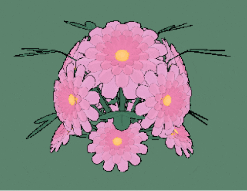 kcamberart:chrysanthemum
