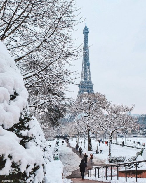 Porn lilyadoreparis:  Le Trocadéro sous la neige. photos