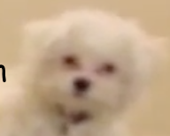 thighetician: spicy-vagina-tacos:  tsarmander:  aspiritualbumpit:  I just witnessed