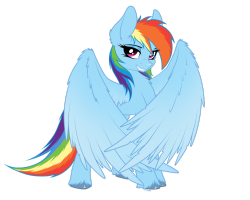 mylittleponyoficialg4:Dash~ by StrachAttack