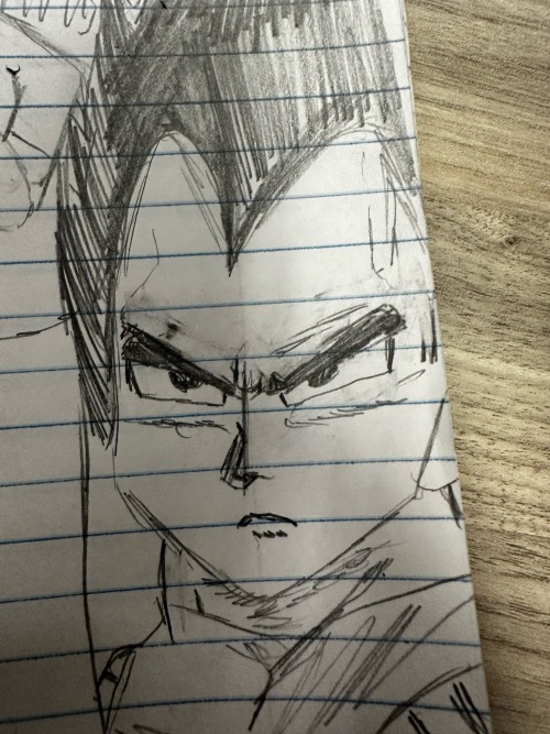 Here Is Vegeta Ive Only Watched Like 6 Eps Of Dragon Ball And Thats Bc My Friend Made Me