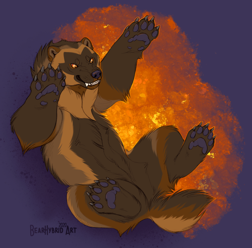 Cool wolverines don’t look at explosions! For @growlbeast