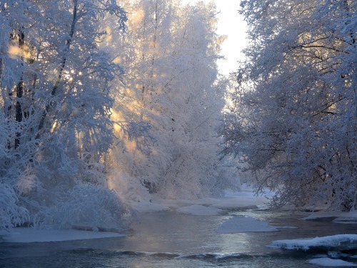 sublim-ature:Eastern FinlandHannu Koskela