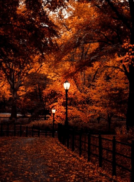 Halloween Days