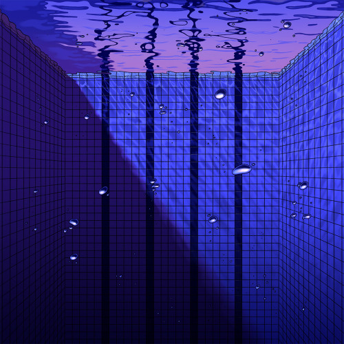 The Swimming Pool By Fernando Bittar