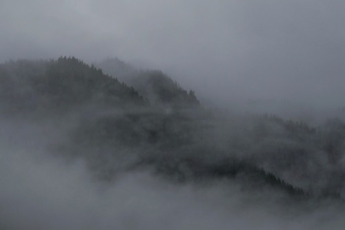 bloganlive:Misty mountainsWashington state