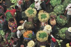 unearthedviews:  GUATEMALA. Almolonga. 1991. A vegetable market in Almolonga, a town near Quetzaltenango.–Thomas Hoepker 