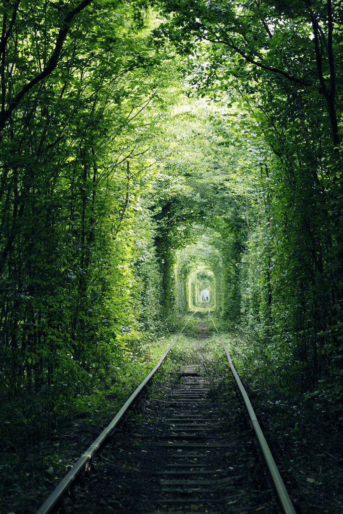 brutalgeneration:  _MG_2789 (by Katerina Pasnichenko) 