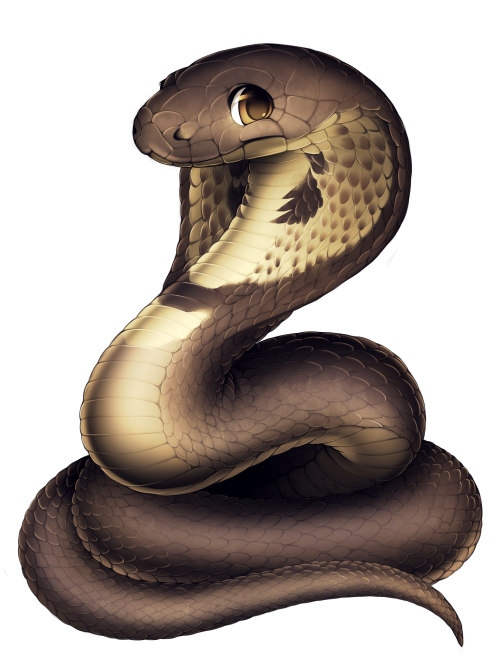 furvilla:  Reptiles! Albino Ball Python, Corn Snake, Ball Python, Milksnake, King Cobra, Arizona Whiptail, Collared Lizard, Bearded Dragon 