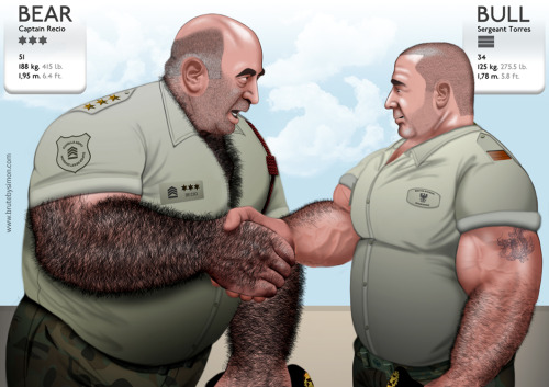 Bear Meets Bull