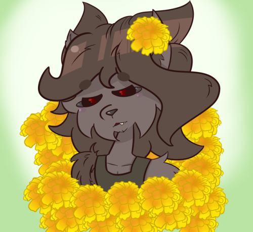 project-beast: her favorite flowers are Marigolds…