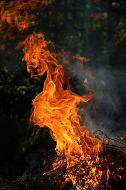 amazingosh:  coolled: Fire Demon (by sonofsteppe)  ♠♣♠ 