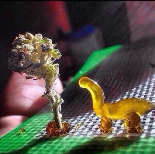 oh-its-simon:  Dabasourus