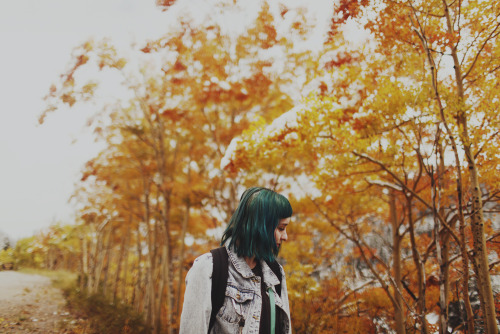 charlavail: Growing up in Florida I’ve never seen the leaves change. It’s magical.