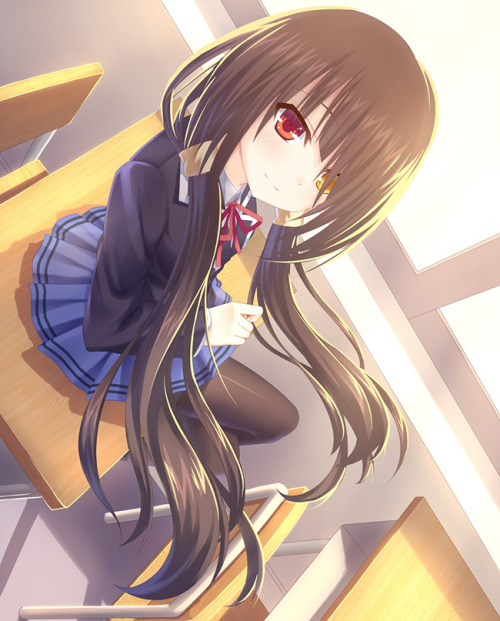 tsundere-dragon:  Source 