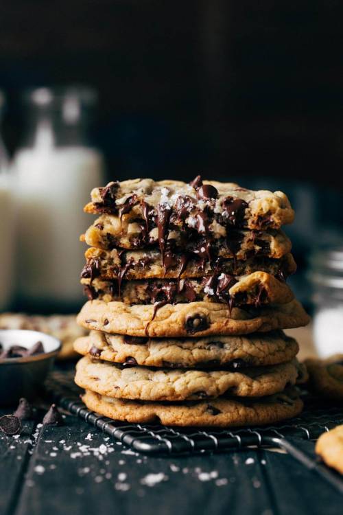 katiiie-lynn:  delta-breezes:  Chocolate Chip Cookies | Butternut Bakery    😍🤤😍🤤😍🤤