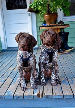 awwww-cute:  Twins (Source: http://ift.tt/1F3e7Zf)