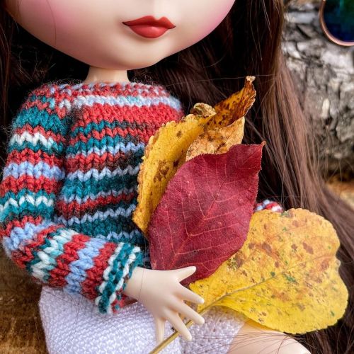 Autumn mood...#блайз #блайзтбл #блайзочка #blythedoll #blythe #blythetbl #dollphotography #b