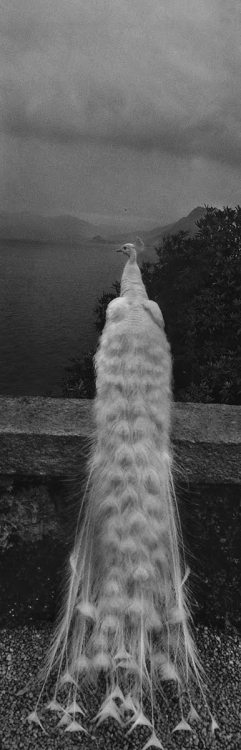 thinkingimages:Josef Koudelka