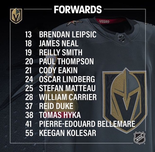 brandoncarlo: The vgk players have numbers