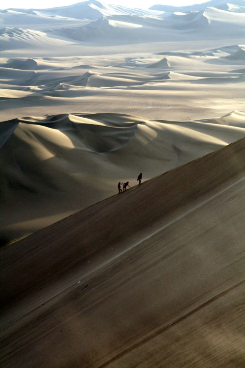 scalesofperception: Huacachina | ilkerender SoP | Scale of Environments