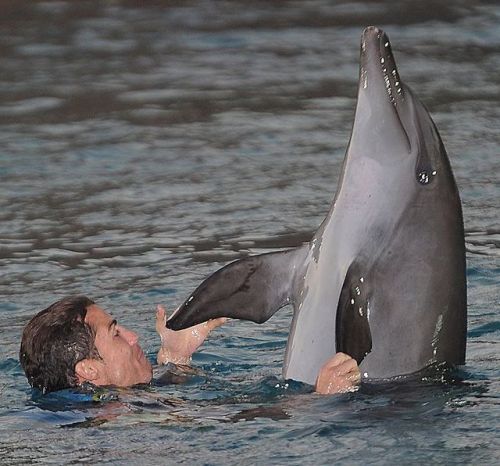 DOLPHIN KISSES! 😘 🐬 