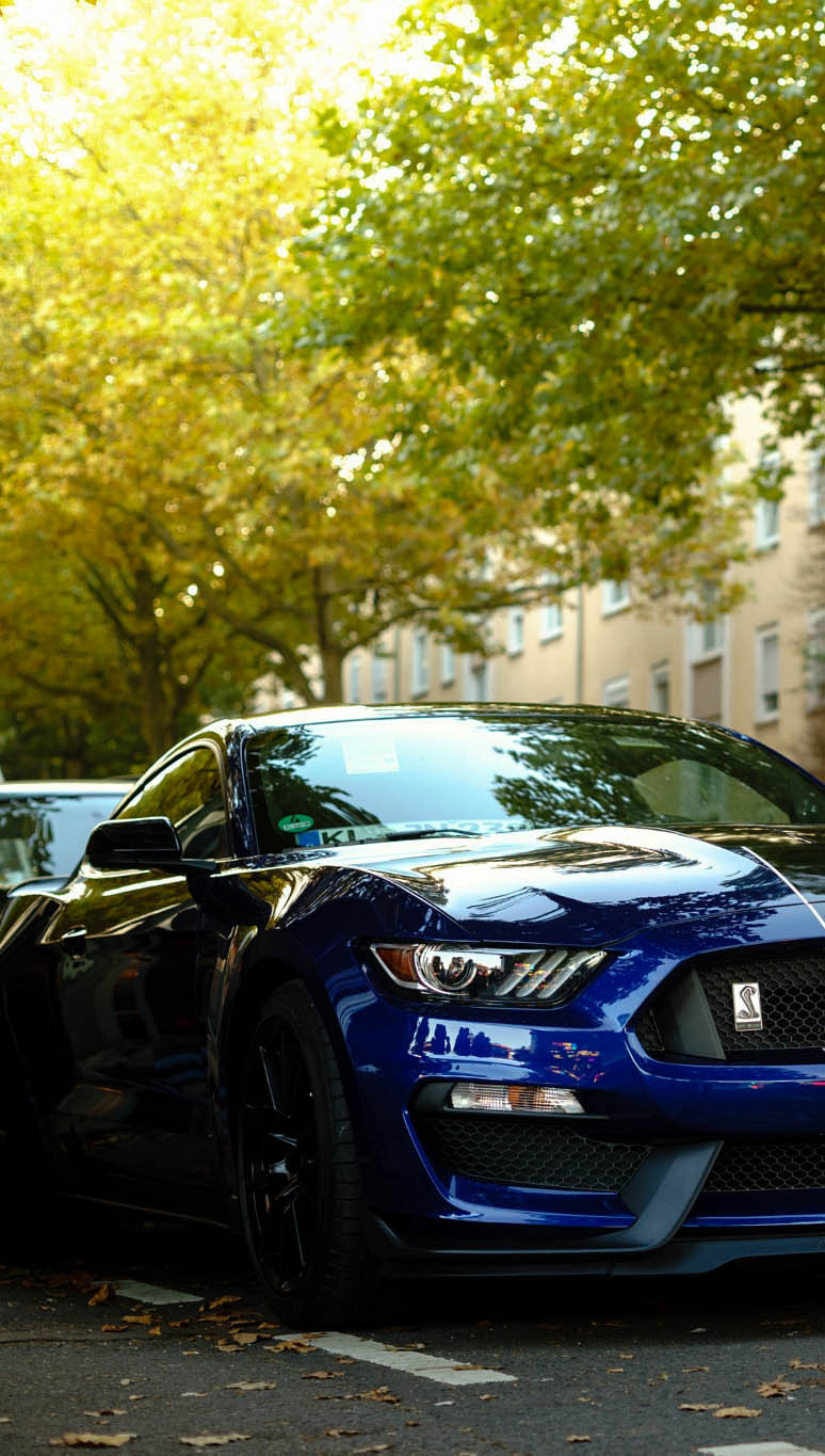h-o-t-cars:  Ford Mustang Shelby   GT350   | Source   