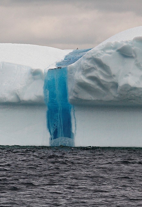 v0lt0rb:Iceberg ~ by Eunice Gigg via FlickrIceberg showing the melted and refrozen bright blue lines