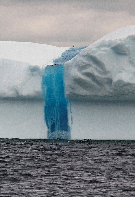 v0lt0rb:
“ Iceberg ~ by Eunice Gigg via Flickr
“ Iceberg showing the melted and refrozen bright blue lines in St. Anthony Bight, NL
” ”
Science!