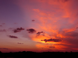 zarb: Sunset by Thiago Braz 