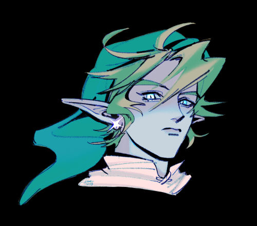 I've Become A Link Fan Account Somehow....it Must Be The Ears.....