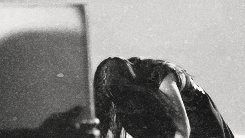 Don't you dare surrender.