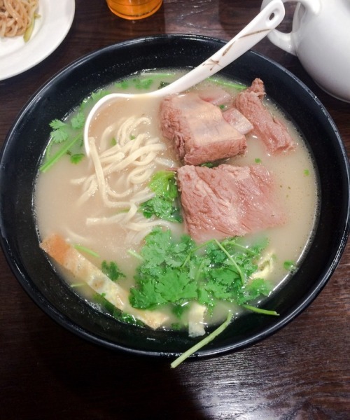 Beef rib noodle soup