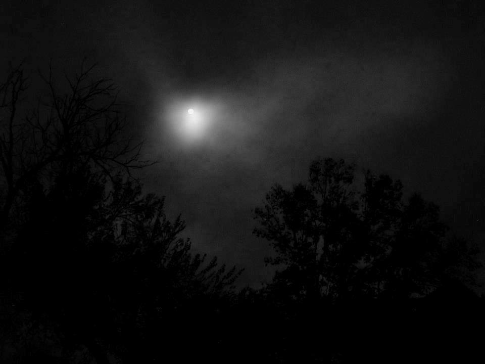 Elegy for a Dream