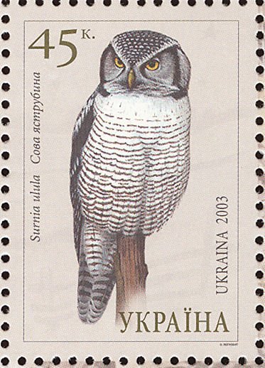 stamp-it-to-me:three 2003 Ukrainian stamps from a series on owls[id: three postage stamps, all with 