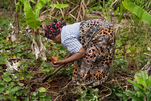 Alessandra Sanguinetti: The island life of Mayotte, Dominica and Vanuatu, a series commissioned by E