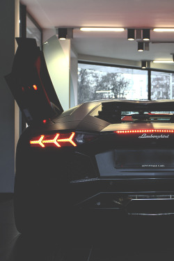 Aventador | MDRNA